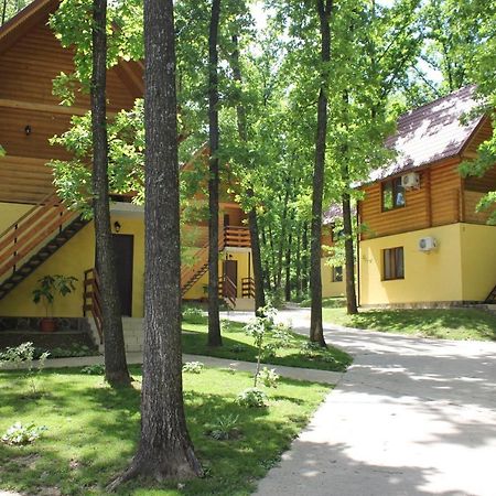 Вілія Hotel Lomachintsy Exterior foto