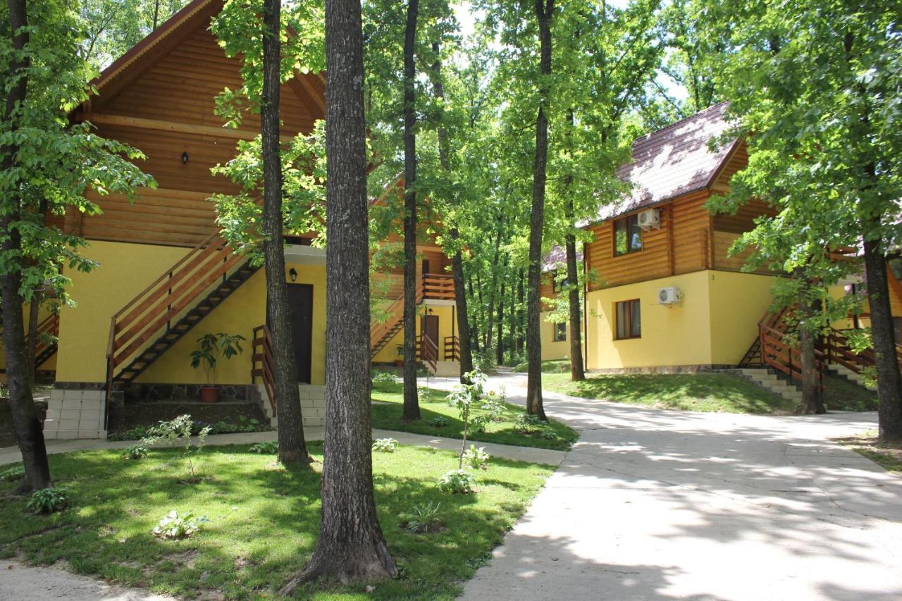 Вілія Hotel Lomachintsy Exterior foto